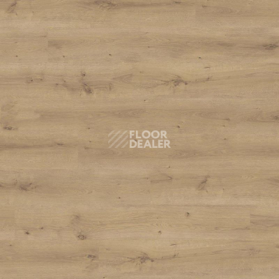 Ламинат Haro Daily Edition 8 mm 541343 Дуб Бреда Пуро фото 1 | FLOORDEALER